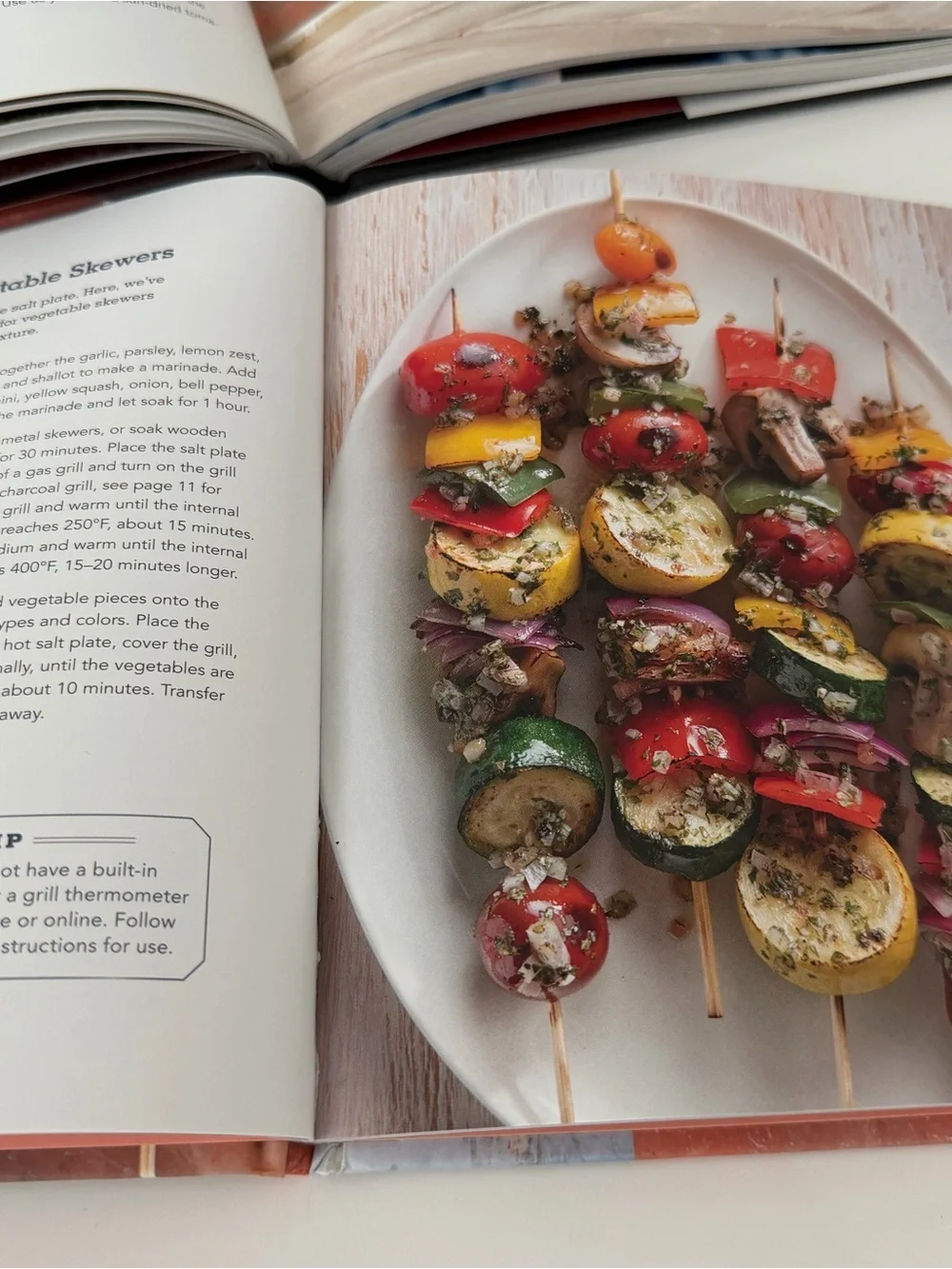 Williams-Sonoma The Salt Plate Cookbook & Salt Block Cooking.